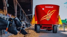 Adeguare razioni, additivi e gestione di stalla per limitare gli effetti dello stress da caldo