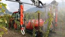 Nuovi agrofarmaci vite 2026: cosa entra davvero in vigneto