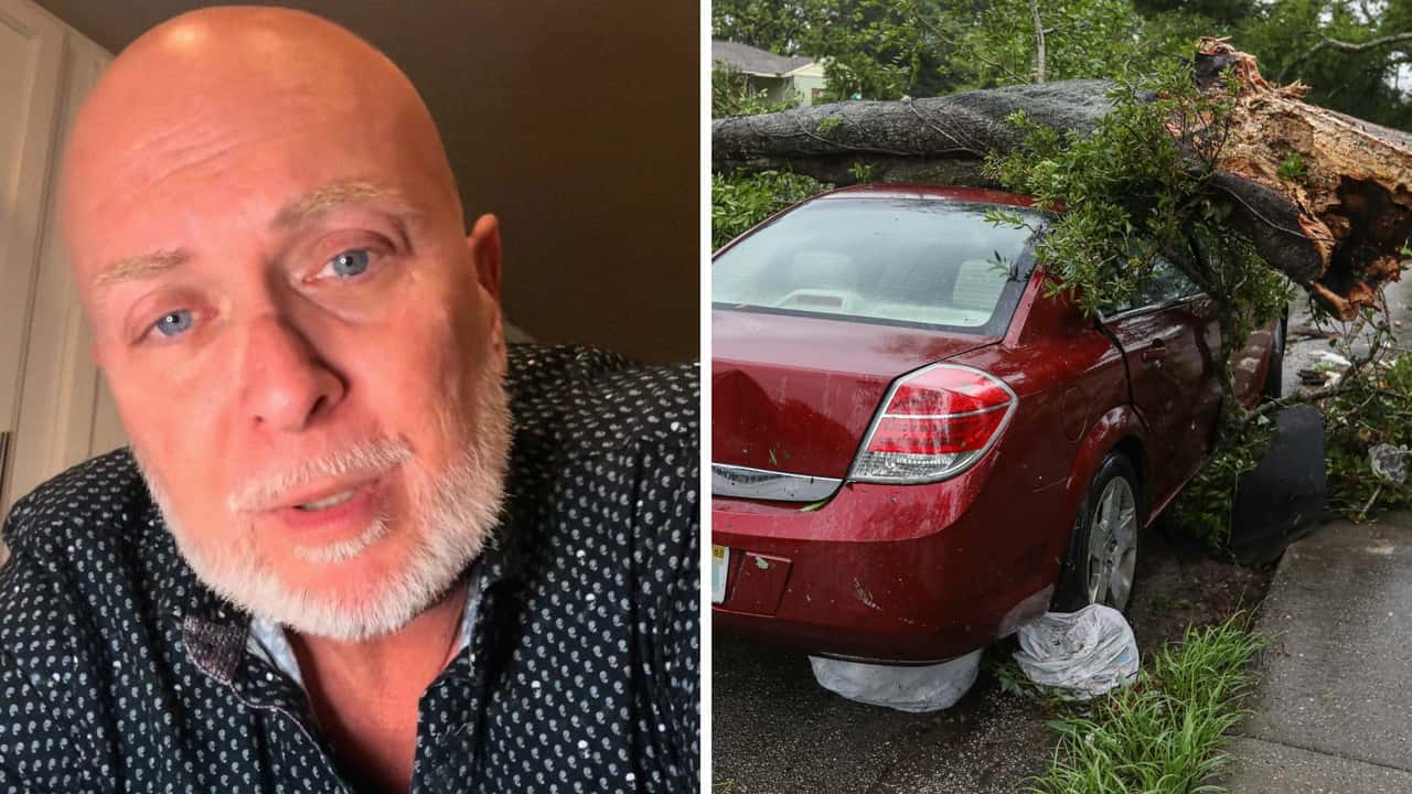 Tree Falls On Woman’s Car