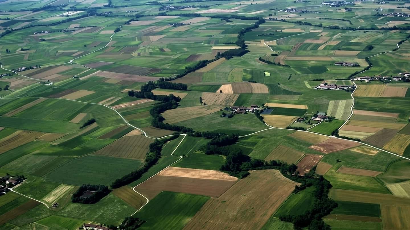 PAC giovani agricoltori e aste terreni: guida pratica