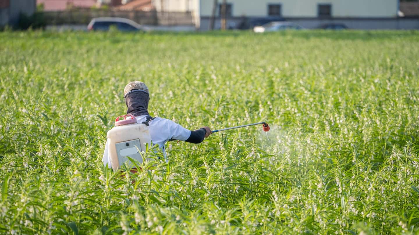 IA nei trattamenti: l’errore che ha distrutto il raccolto