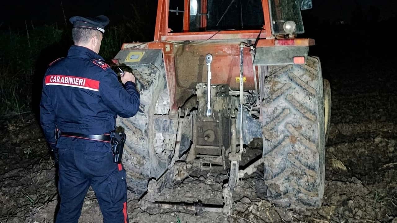 palo-del-colle-razzia-in-azienda-via-trattore-e-50-kg-dolio