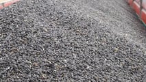 Analisi del ruolo del girasole alto oleico nelle rotazioni cerealicole, nelle filiere olio e biocarburanti e nelle scelte di meccanizzazione aziendale