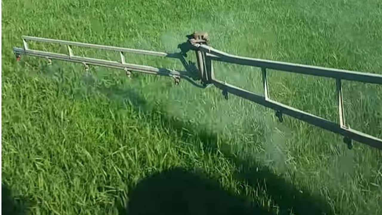 Checklist tecnica per valutare fungicidi, ugelli antideriva e strategie economiche nella difesa sostenibile del grano duro in azienda agricola

