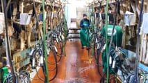 Ristorni nelle cooperative: come contabilizzarli nel 2026