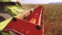 Scelte tra deroghe, attrezzature di diserbo e alternative agronomiche per pianificare il disseccamento chimico della soia in coerenza con il quadro europeo
