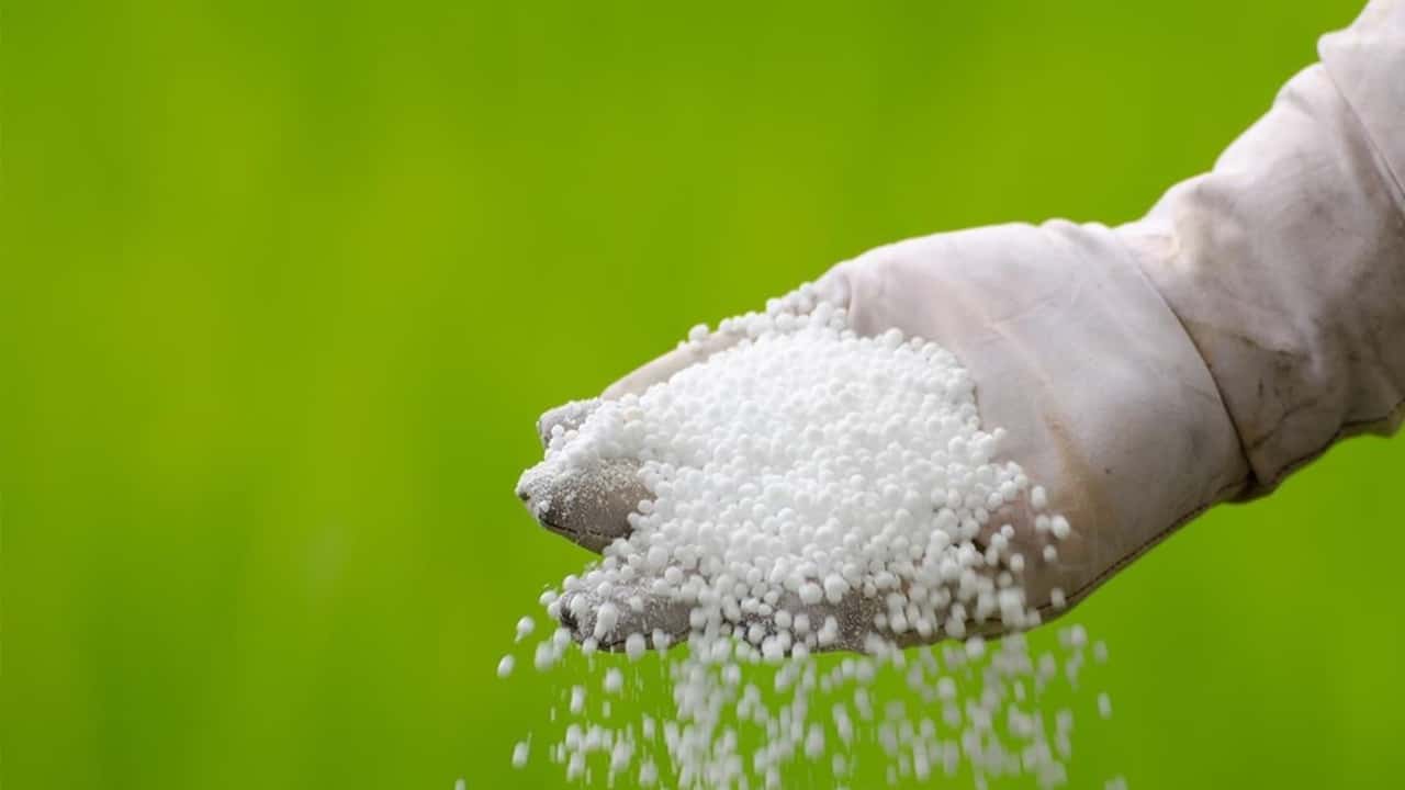 Urea e agricoltura: svolta normativa nel decreto ColtivaItalia
