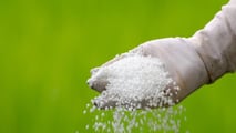 Urea e agricoltura: svolta normativa nel decreto ColtivaItalia