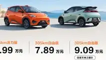 BYD Dolphin Mini (Seagull) 2026