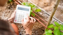 ax credit gasolio e fertilizzanti: 130 milioni per l'agricoltura