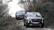 Hyundai Palisade Prototype