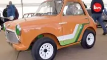 Mini Haha