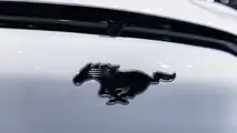 2021 Mustang Mach-E Live Image