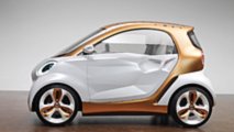 smart forvision (2011)