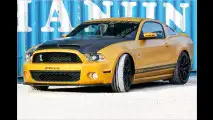 Golden Snake