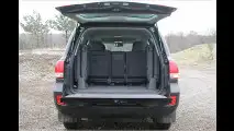 Japanischer Kraxler