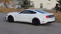2018 Roush Ford Mustang Spy Photos