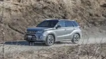 8 - Suzuki Vitara - 871 km