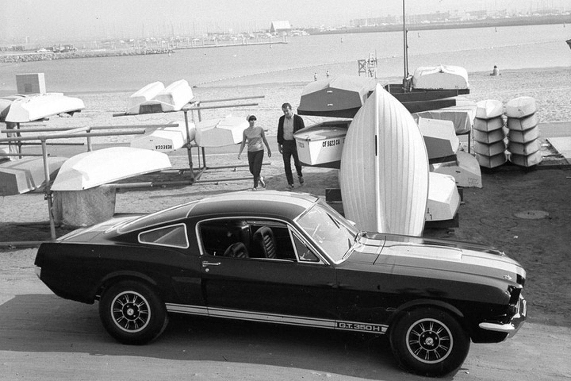 Shelby GT350H 'Rent-a-Racer' Brought Muscle to Masses