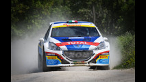 CIR 2015, al Rally Adriatico in Peugeot 308