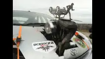 Toyota Prius con motore Harley-Davidson