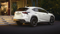 2017 Lexus NX Sport Trim