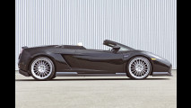 Spyder-Hamann