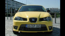 Dieselwahnsinn im Seat Ibiza
