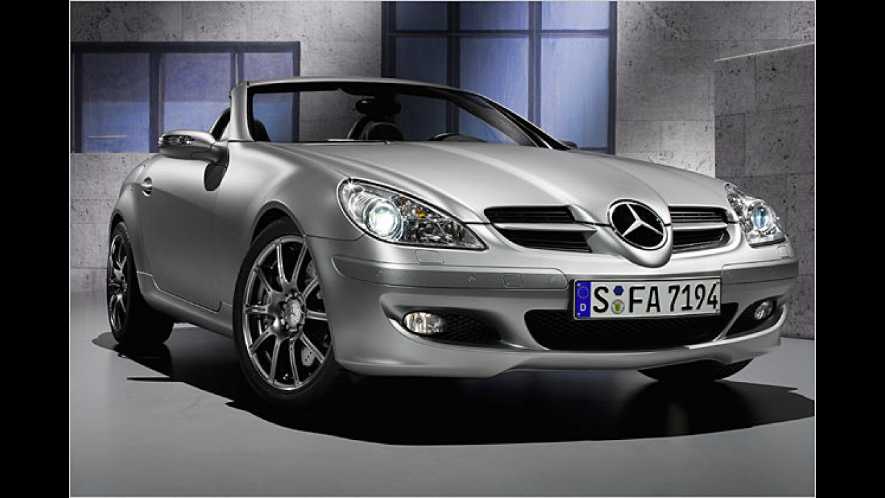 Die zulassungsstärksten Modelle 2006