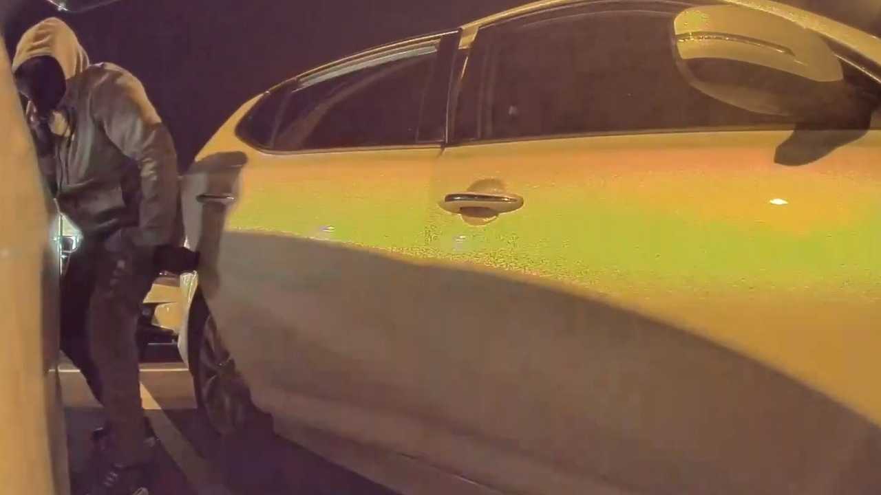 Glass-Breaking Butts Love To Show Up In Tesla Sentry Mode Videos