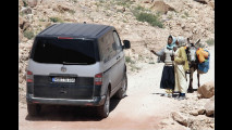 VW Multivan: ADAC-Edition
