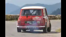 Happy Birthday, Mini!