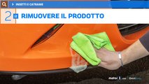 Il catrame e gli insetti