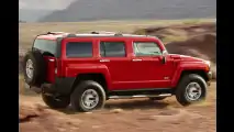Kleiner Hummer kommt