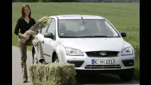 Ford fahren mit Alkohol
