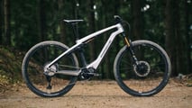 Porsche eBike Cross Performance