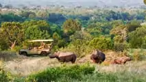 Ineos Grenadier Safari by Ineos Kavango