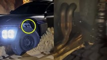 جينيسيس إكس سكوربيو مقابل مقاتلة رالي موتورز المحلية