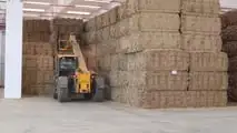 JCB: trasmissione variabile DualTech VT  per i sollevatori di Agro PO