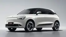 Dongfeng Box 2024