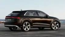 Audi Q8 TFSI e quattro (2024)