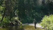 Stark Varg and Two Fly Rods