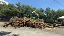 FUTA EXPO 2025: a Barberino di Mugello debutta il grande evento delle tecnologie forestali