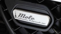 Mole Costruzione Artigianale, il logo