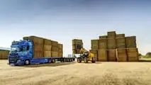JCB 542-100: sollevatore telescopico con prestazioni TOP