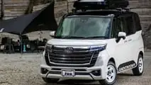 ESB CLS-Fox 'Landcroomy' 2025