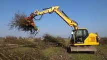 Escavatori JCB: abbattono un frutteto