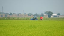 Società semplice agricola: chi risponde per la sicurezza?