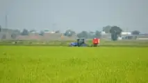Società semplice agricola: chi risponde per la sicurezza?