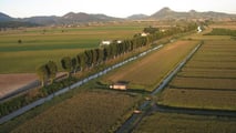 Esenzione IMU terreni agricoli: basta l'iscrizione INPS nel 2026